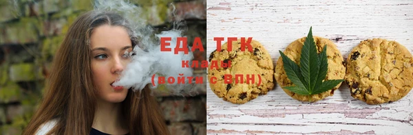 амф Бородино