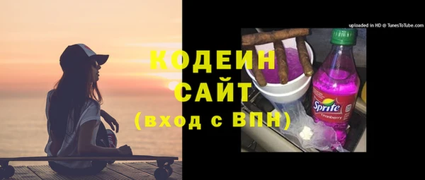 амф Бородино