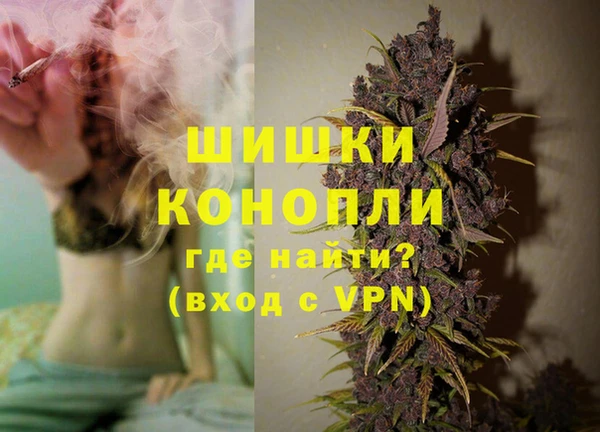 амф Бородино
