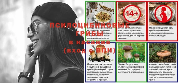 амф Бородино