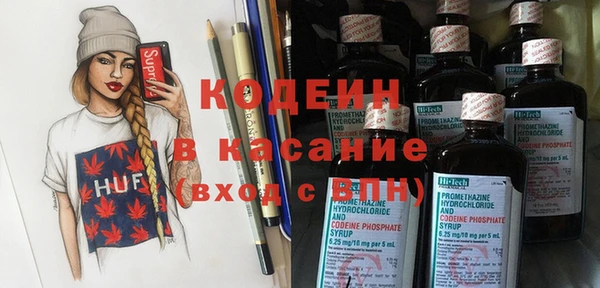 амф Бородино