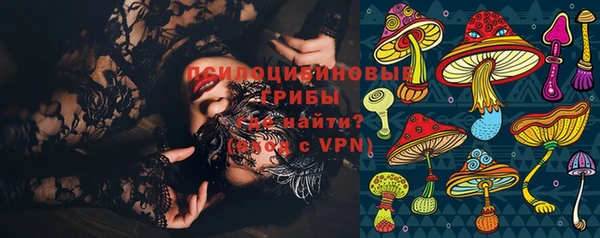 амф Бородино