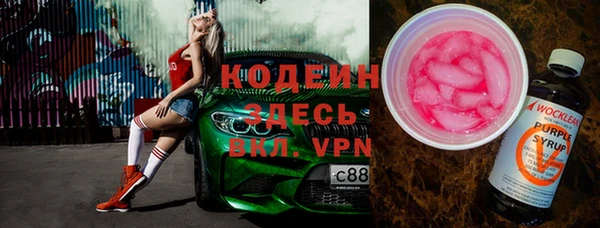 амф Бородино