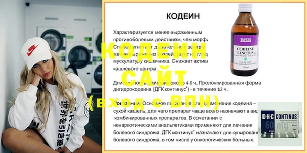 амф Бородино