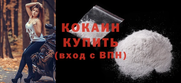 амф Бородино